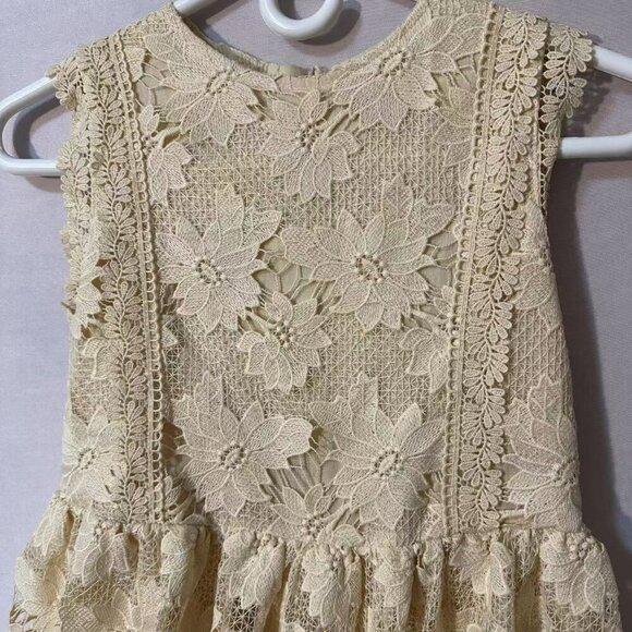 Girls Birthday Wedding & Flower Sleeveless A-Line Lace Party Dress  (11/12Years） - Picture 4 of 12